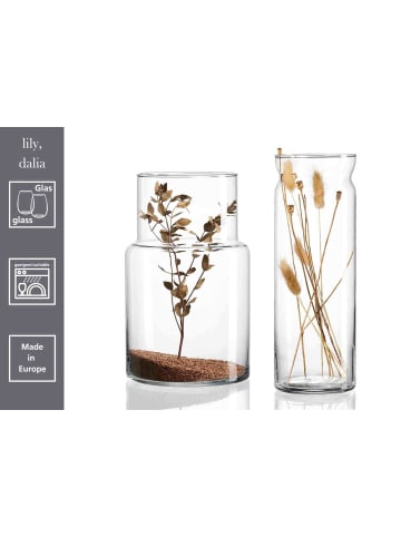 Ritzenhoff & Breker 6er Set Vasen Dalia 35 cm in transparent