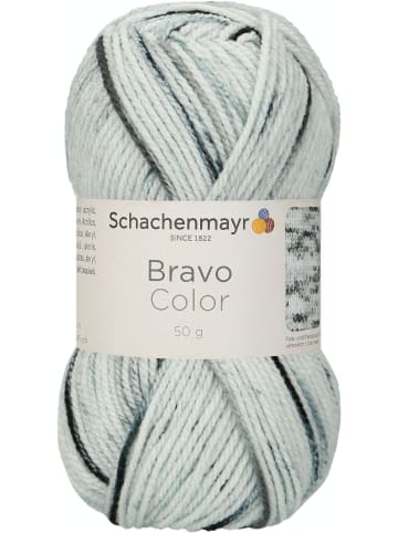 Schachenmayr since 1822 Handstrickgarne Bravo Color, 50g in Neutral