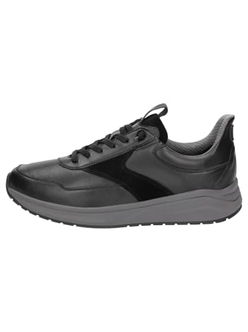Sioux Sneaker Tasulio-703-J in schwarz