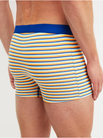 Calida New Boxer in juicy orange