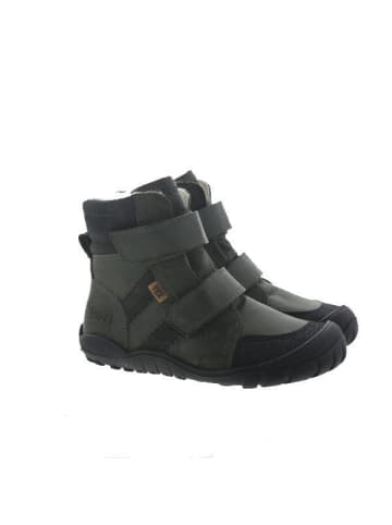 KOEL Boots in grün