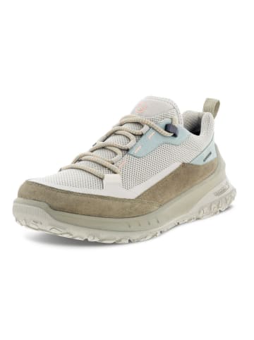 Ecco Sneaker in beige