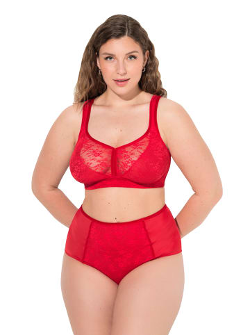 Ulla Popken BH in salsa