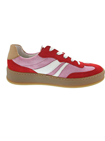 Gabor Comfort Sneaker low Rot