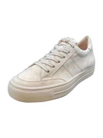 Paul Green Sportliche Schnürschuhe in Beige