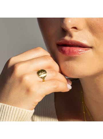 Luxenter Ring Leri mit 18 Karat  verstellbar Gold-Leri gold
