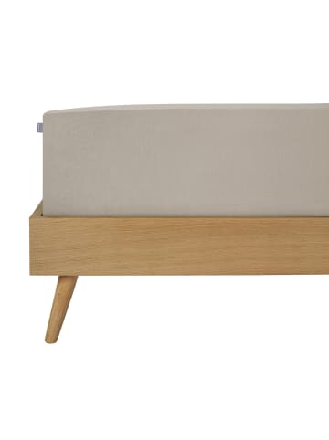 Schiesser Spannbettlaken Flexi in Helltaupe
