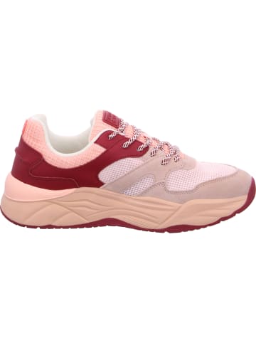 Scotch & Soda Sneaker Celest in Rosa