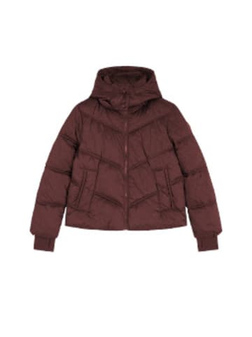 Lee Winterjacke Short Hooded Puffer in Port