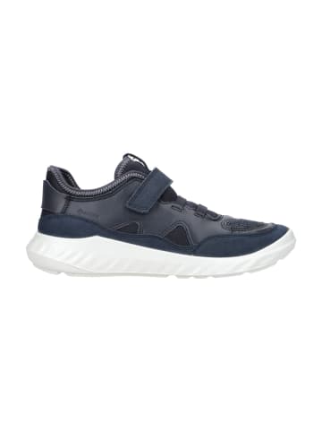 Ecco Sneaker für Jungen in blau