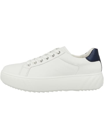 ara Sneaker low 12-46523 in weiss