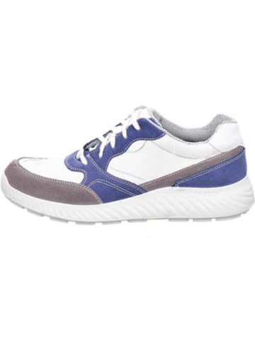 Jomos Halbschuhe für Herren in unifarben in uni