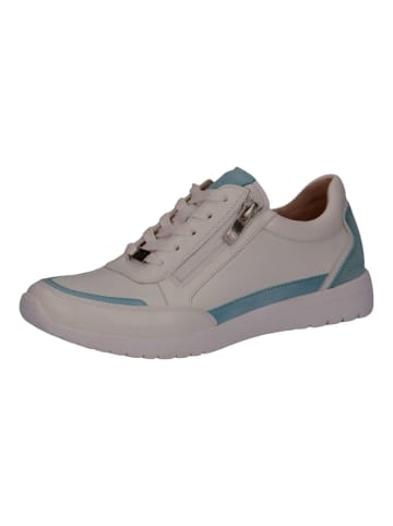 Caprice Sneaker in Weiß/Blau