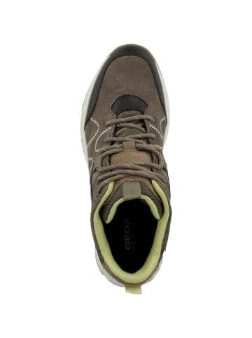 Geox Sneaker mid D Delray B WPF B in beige