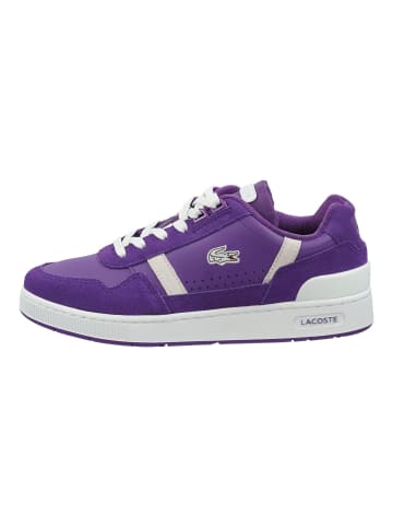 Lacoste Sneaker in Purple