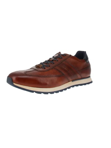 Bugatti Sneaker low 331-ARX01-4100 XL in Braun