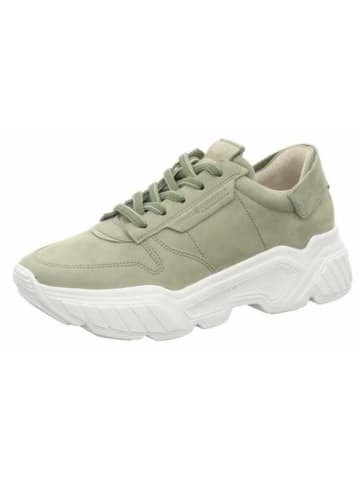 Kennel & Schmenger Sneaker in grün