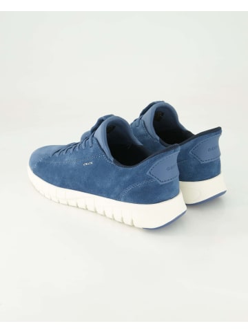 Geox Sneaker low in Blau