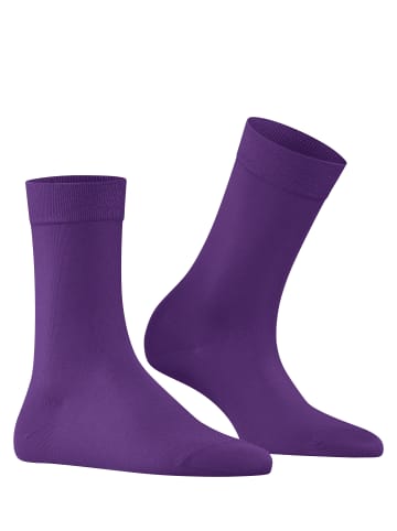 Falke Cotton Touch Socke in Petunia