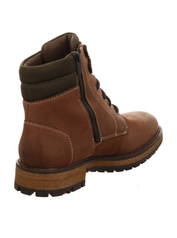 LLOYD Schnürstiefeletten in braun