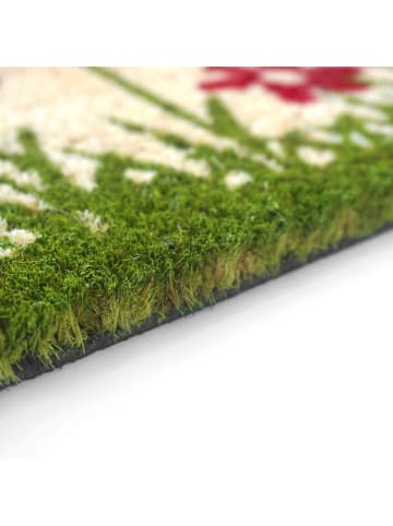 Astra Rutschfeste Fußmatte COCO 2 in Natur