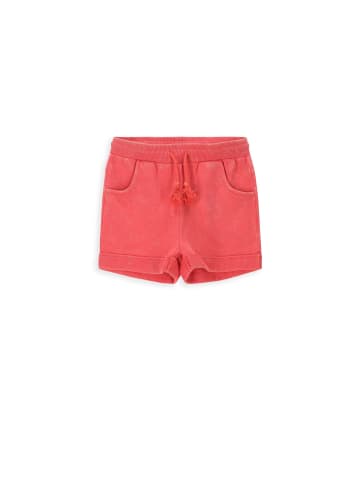 Coccodrillo Kurze Hose in rot