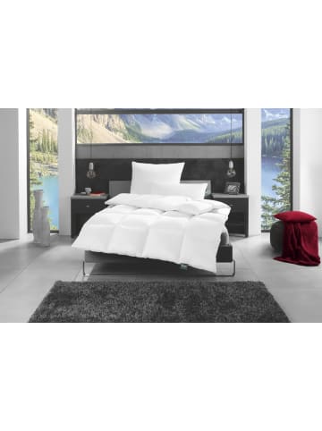 f.a.n. Frankenstolz Sommerbettdecke Daune Canada 155x220 cm in weiss