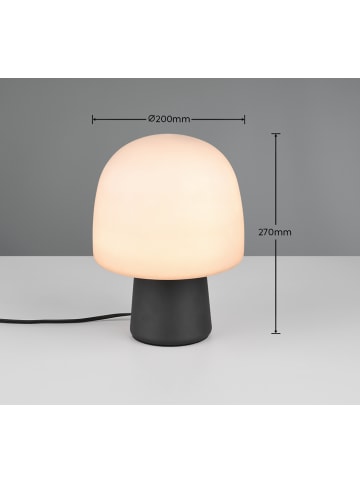 Trio Leuchten Tischleuchte STEEN in schwarz