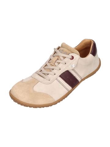 KOEL Sneaker Low ILA SUEDE 3.0 in natur