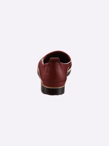 Andrea Conti Slipper in bordeaux