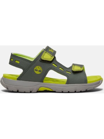 Timberland Sandale "Moss Jump" in Grün