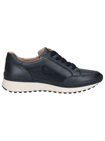 Caprice Sneaker in OCEAN PEARL