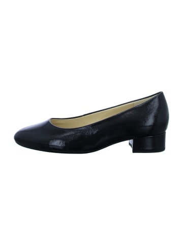 Gabor Komfort Pumps in Schwarz