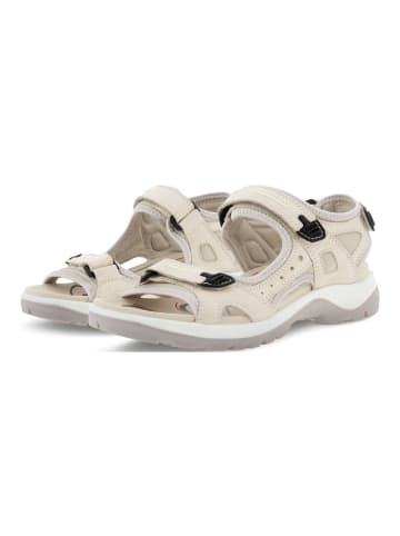 Ecco Sandalen in Beige