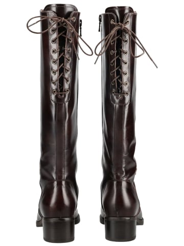 Nero Giardini Stiefel in Dunkelbraun
