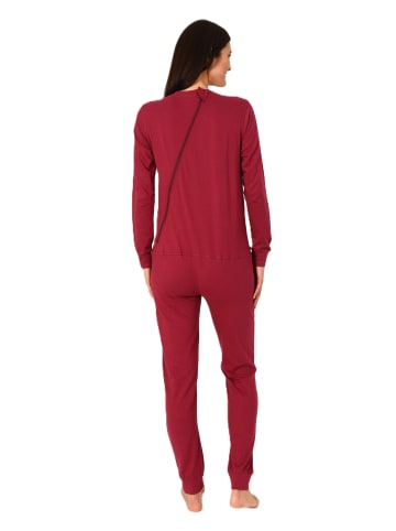 NORMANN Pflegeoverall langarm Reißverschluss Rücken - 88607 in beere