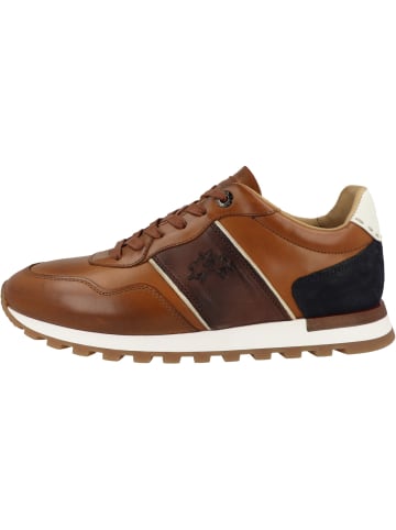 La Martina Sneaker low LFM261 in braun