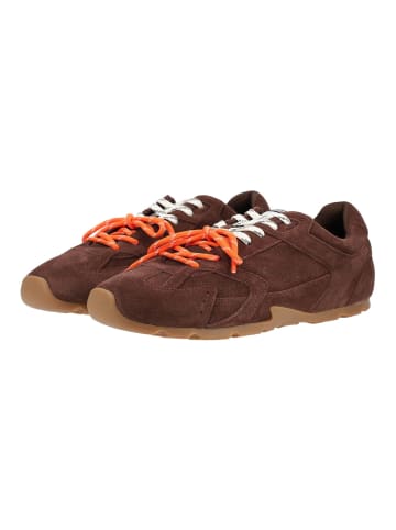 Steve Madden Sneaker MIDAS-O Chocolate