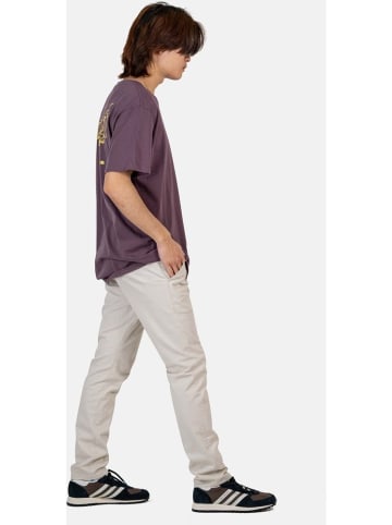 Reell Stoffhose "Flex Tapered Chino" in Beige