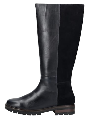 ara Stiefelette in Dunkelblau