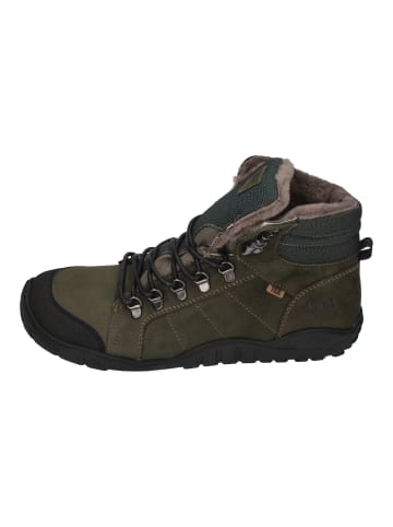 KOEL Ankle Boots Paul Lambwool in braun
