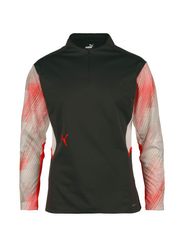 Puma Sweatshirt individualCUP 1/4 Zip in anthrazit / rot