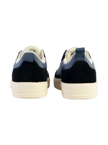 Napapijri Niedrige Sneakers aus Leder Bark Schwarz