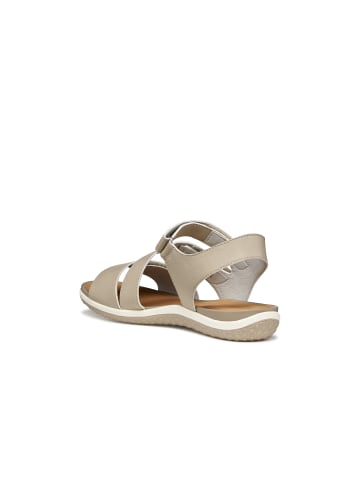 Geox Sandalette in beige