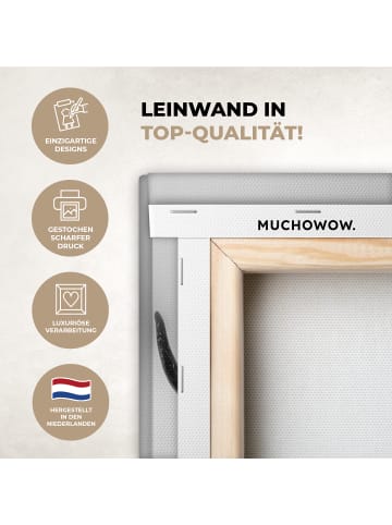 MuchoWow Leinwand bilder Schottisches Hochlandrind (BxH)