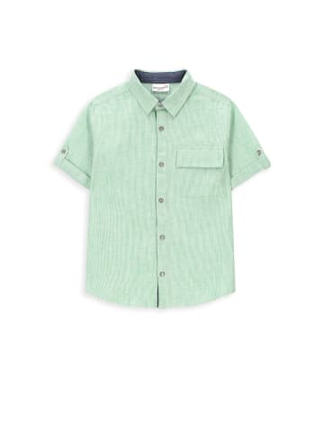 Coccodrillo Hemd mit kurzen Ärmeln in grün