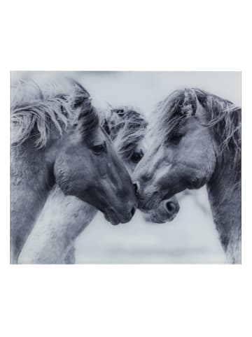 Wenko Glasrückwand Horses 60 x 50 cm