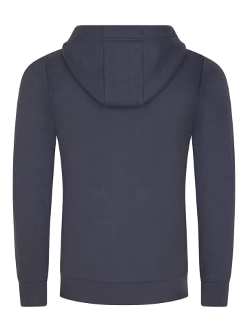 DENIMFY Sweatjacke DFLeo in Blau