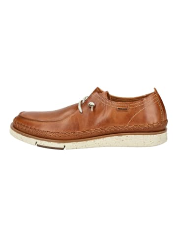 Pikolinos Slipper Braun