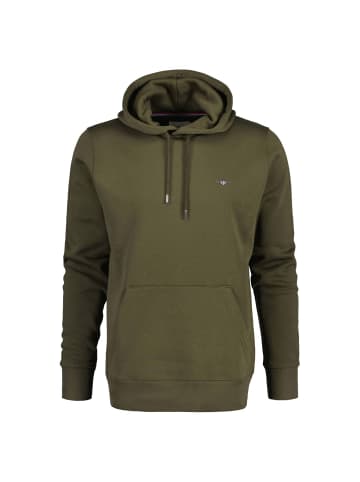 Gant Sweatshirt in Grün